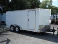 16ft enclosed trailer -white with ramp