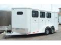 White 3 horse with mats with single rear door