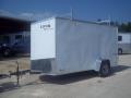 12FT SINGLE AXLE TRAILER WITH LADDER RACKS