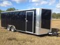 12FT BLACK CARGO TRAILER WITH WEDGE FRONT