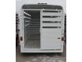 White  14ft Livestock with Double Rear Doors