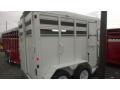 White Steel Two Horse Trailer