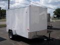 10FT Double Doors and Flat Front Cargo Trailer