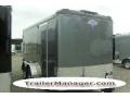 14ft Silver TA Cargo Trailer  with Spare Tire and 3500lb Axl                                        