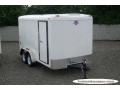 14ft Cargo Trailer With Ramp