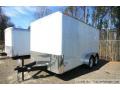 14FT TANDEM AXLE WHITE FLAT FRONT
