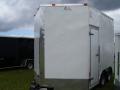 14ft Extra Tall Cargo Trailer
