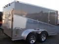 12FT SILVER T.A. CARGO TRAILER-FINISHED INTERIOR
