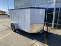  5 X 10'SA Cargo / Enclosed Trailer