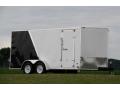14FT Enclosed Cargo Trailer-Black and White Two Tone