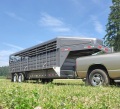 #9980 - 2023 GR 24'  Gooseneck Stock Trailer Cattle/Livestock Trailer