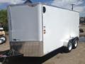 14ft V-nose enclosed cargo trailer w/ramp door