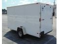 10ft Enclosed Cargo trailer  S/A 