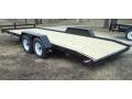 20FT AUTO/EQUIPMENT TRAILER W/ DOVETAIL  AND SLIDE IN RAMPS