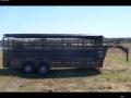 16ft Charcoal Cattle Trailer w/Canvas Tarp Top