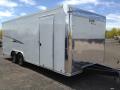 22ft Auto Hauler with Race Package