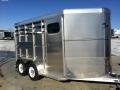 Aluminum 2 Horse Trailer w/Drop Feed Doors 