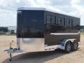   3 HORSE ALL ALUMINUM TRAILER WITH DOUBLE REAR DOORS
