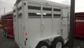 2 HORSE WHITE STEEL WITH DOUBLE REAR DOORS