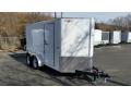 12ft tandem axle v-nose trailer-white-rear barn doors