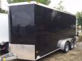 16ft TA Cargo Trailer with Brakes
