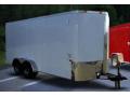                               12FT ENCLOSED TRAILER W/REAR RAMP GATE AND 3500LB AXLES