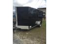  Enclosed Spartan Cargo Trailer