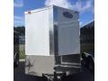 6X12 SA ENCLOSED CARGO TRAILER