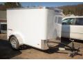 8ft S/A Enclosed Cargo Trailer