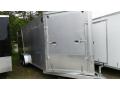 22ft Silver and Charcoal V-Nose Snowmobile Trailer