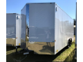 20ft TA Enclosed Cargo Trailer -5200# Axles