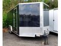 24ft Enclosed Cargo Trailer with Ramp