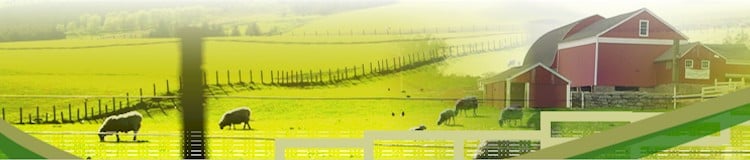 Loup Valley Trailers