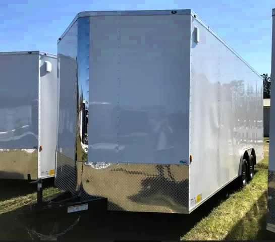 20ft TA Enclosed Cargo Trailer -5200# Axles