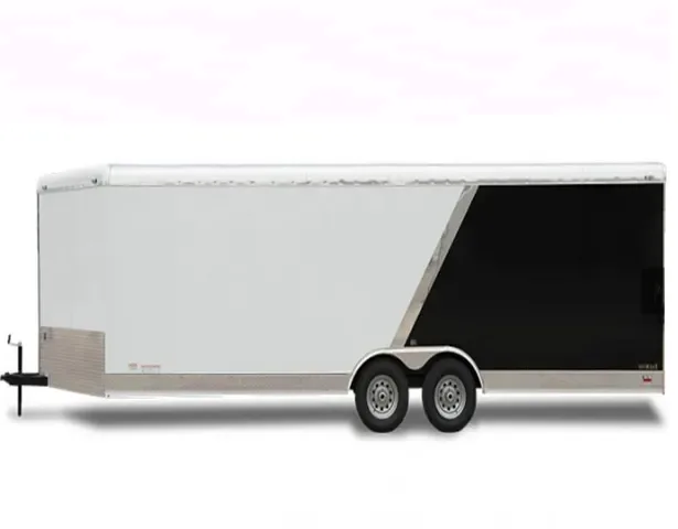 24FT CARGO TRAILER W/ DOUBLE REAR DOORS