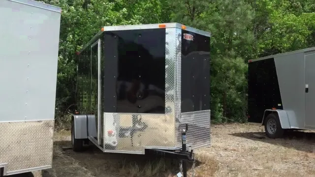 12ft Single Axle 3.5K Black w/Rear Ramp Door