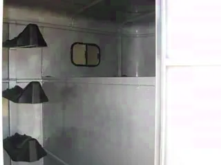 GREY 3 HORSE TRAILER GOOSENECK