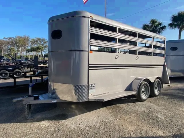 2025 BEE 3 HORSE