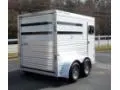White 2 Horse with Drop Windows
