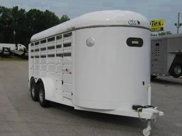 14ft Steel LS Trailer Window in V