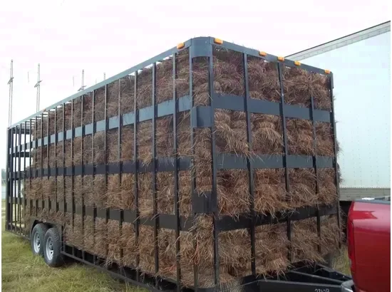 2025 Enclosed Equipment 8.5x26 Trailer - Byron, GA