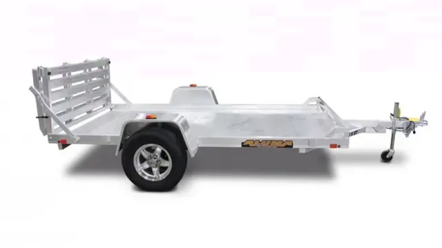 10ft Utility Trailer w/Bi-Fold Rear Gate